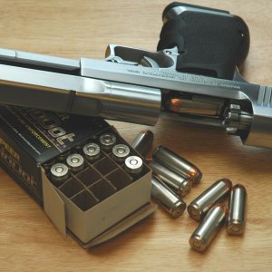desert-eagle-pustynnyy-orel-2749.jpg