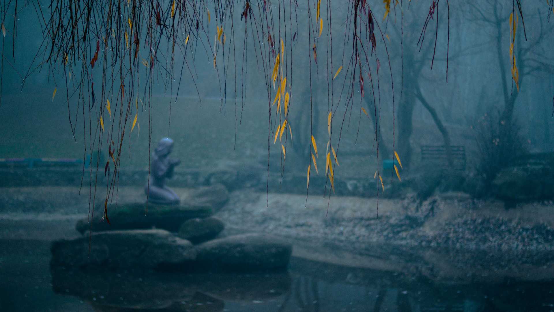 park-osen-autumn-dozhd.jpg