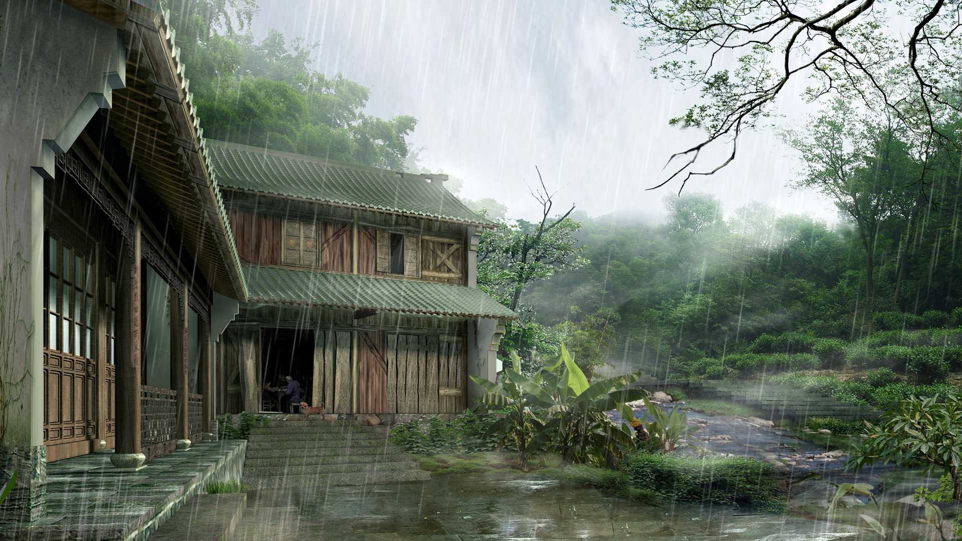 rain-japan-house-dozhd-yaponiya.jpg
